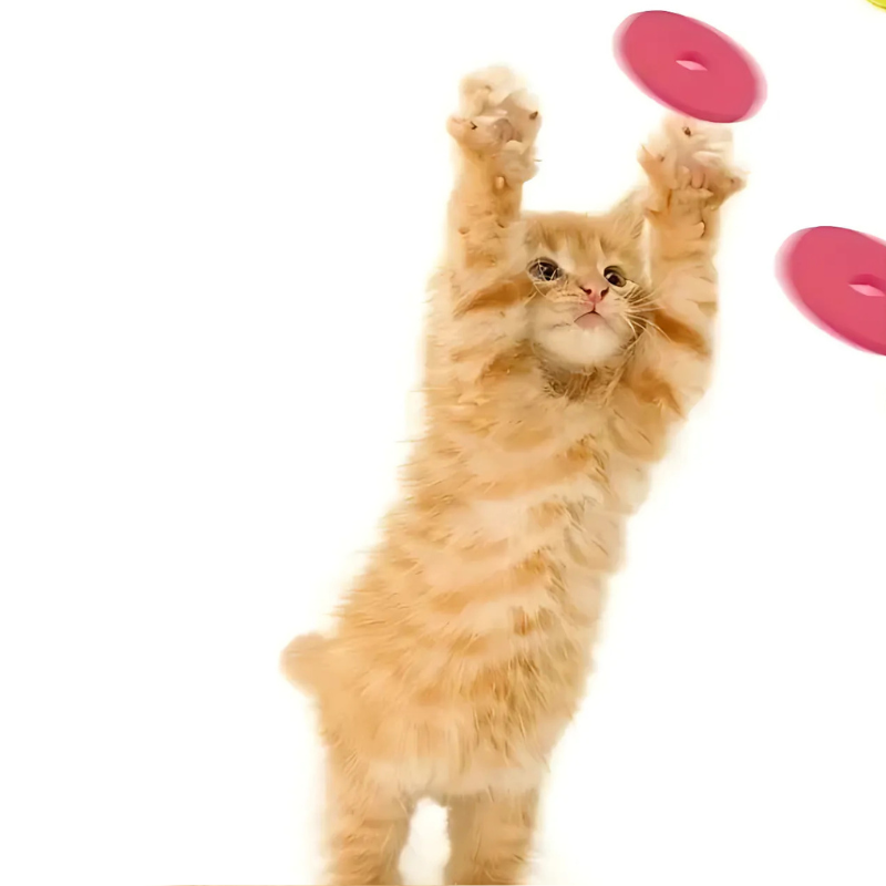 Funny Turnip Gun Cat Toy – Interactive Foam Launcher